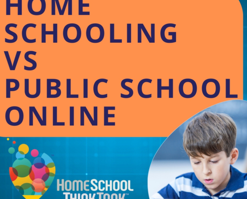 Homeschooling vs Public School Online