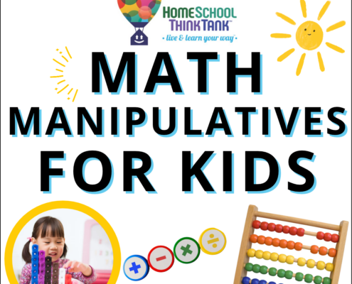 Math Manipulatives for Kids and Homeschoolers